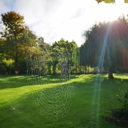 Gite Du Chateau D'Hardelot A Condette Dış mekan fotoğraf